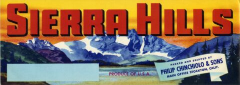 Sierra Hills